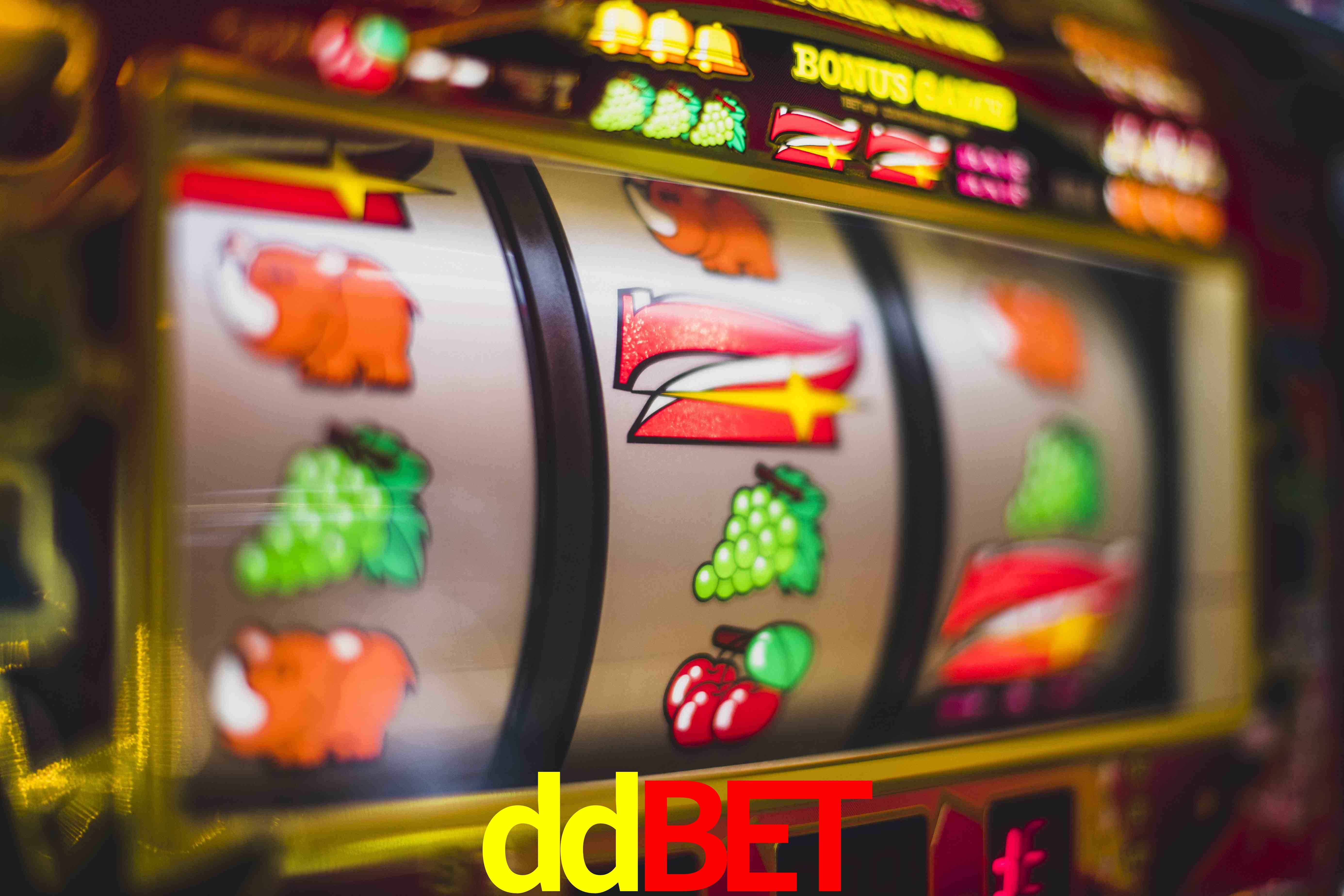 Football Betting ddbet